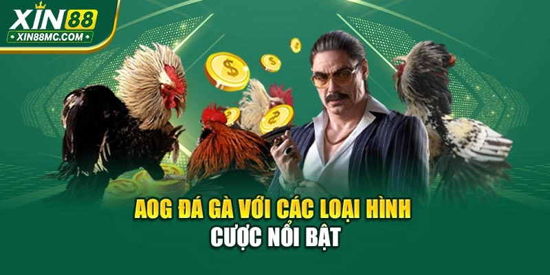 AOG đá gà với các loại hình cược nổi bật