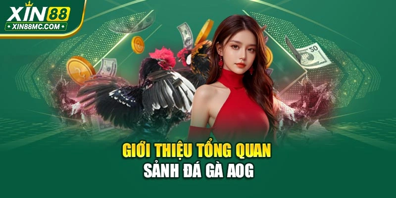 Giới thiệu tổng quan sảnh đá gà AOG