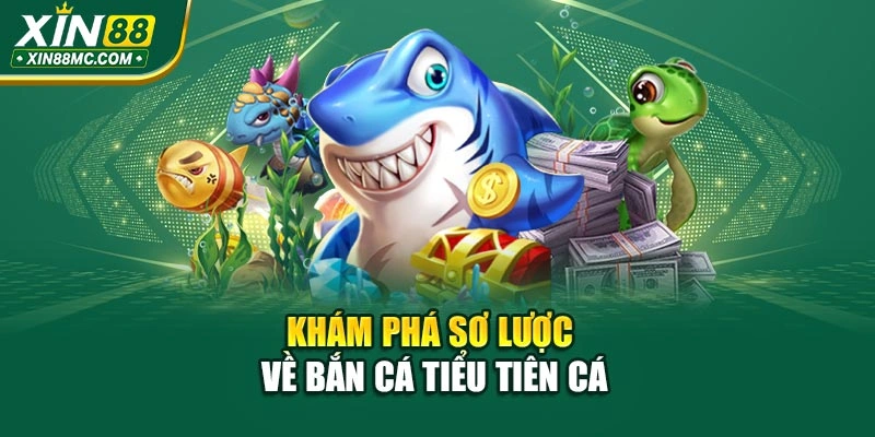 Khám phá sơ lược về bắn cá Tiểu Tiên Cá