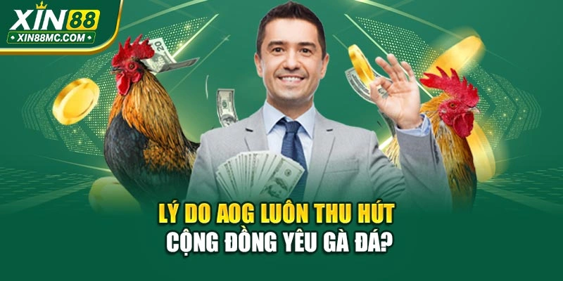 Lý do AOG luôn thu hút cộng đồng yêu gà đá?