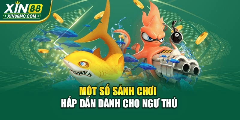 Một số sảnh chơi hấp dẫn dành cho ngư thủ