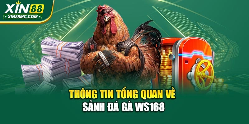 Thông tin tổng quan về sảnh đá gà WS168